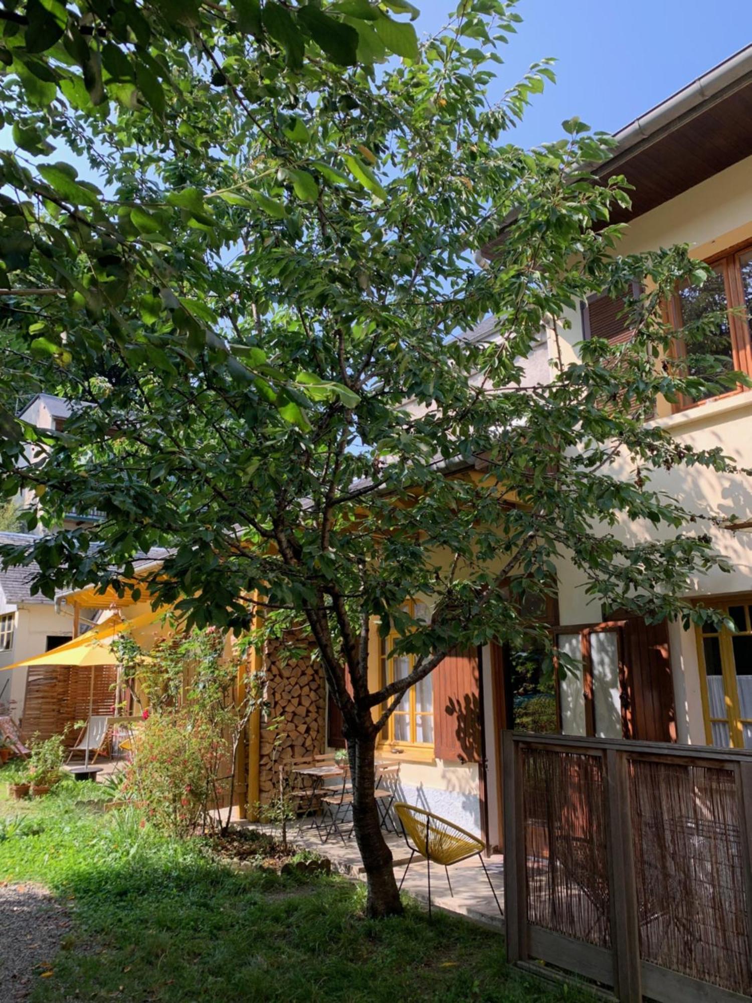 Charmant Appartement Sur Cour, Le Cerisier Bagnères-de-Bigorre Exteriér fotografie