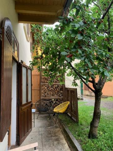 Charmant Appartement Sur Cour, Le Cerisier Bagnères-de-Bigorre Exteriér fotografie
