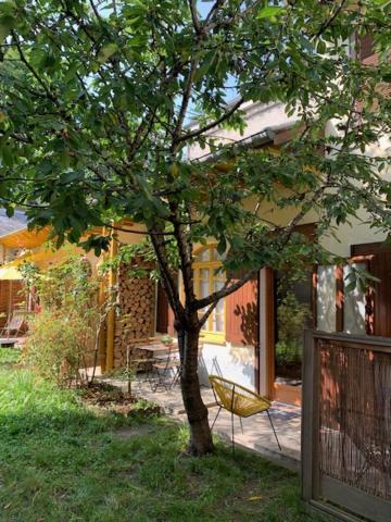 Charmant Appartement Sur Cour, Le Cerisier Bagnères-de-Bigorre Exteriér fotografie