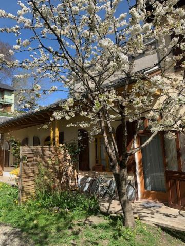 Charmant Appartement Sur Cour, Le Cerisier Bagnères-de-Bigorre Exteriér fotografie